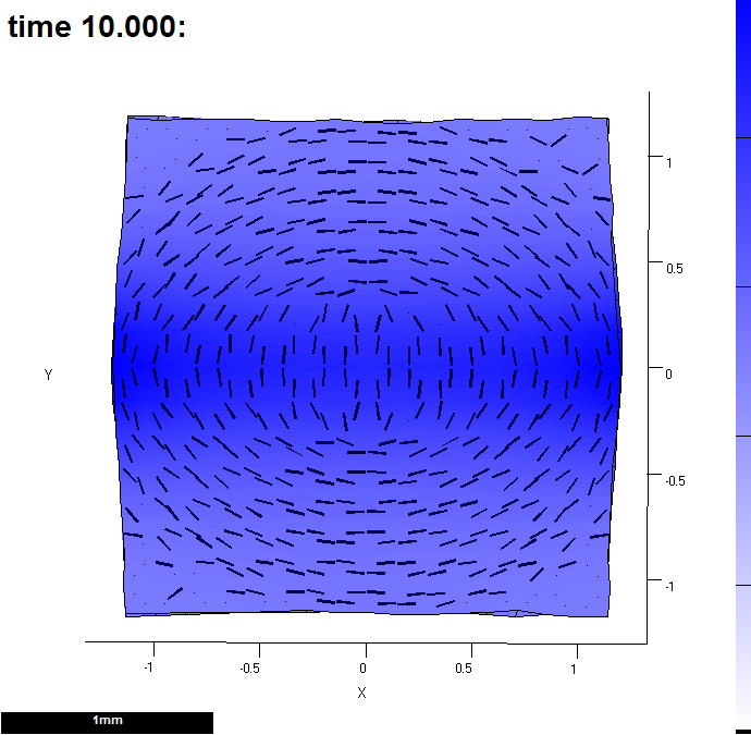 (C) It has been through the interaction function 10 times. This shows the growth by the time it has reached the end of the 10th pass. Colour shows growth rate over the last time step and lines indicate the major axis. The measurements were computed using leaf_computeGrowthFromDisplacements(). This display was created by the leaf_plotoptions function also in the interaction function (see red highlights below)