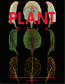 PlantCell.png